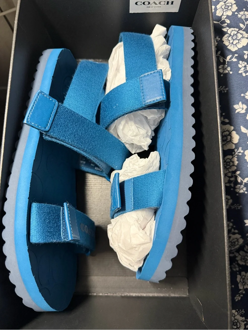 Coach Blue Adjustable Strap Sandals